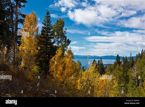Lake Tahoe Fall Colors Hi Res Stock Photography And Images Alamy