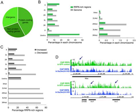 Depletion Of Suvar3 9 Influences Rrp6 Genomic Occupancy In S2