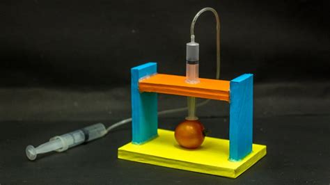 Science Fair Project Ideas Hydraulic Press Youtube