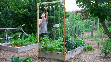 How To Build A Cucumber Trellis Using Only One Piece Of Wood Cheap And