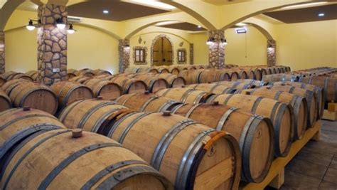 Vinarija Citluk Crivino Wijn Uit Italië En De Balkan