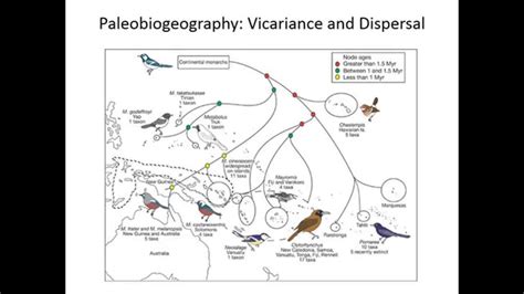 Biogeography Vicariance And Dispersal Youtube