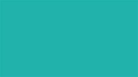 2560x1440 Light Sea Green Solid Color Background