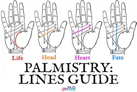 Palm Reading Guide How To Read Your Own Palm Spells8