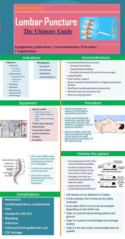 Lumbar Puncture The Ultimate Guide Medical Estudy