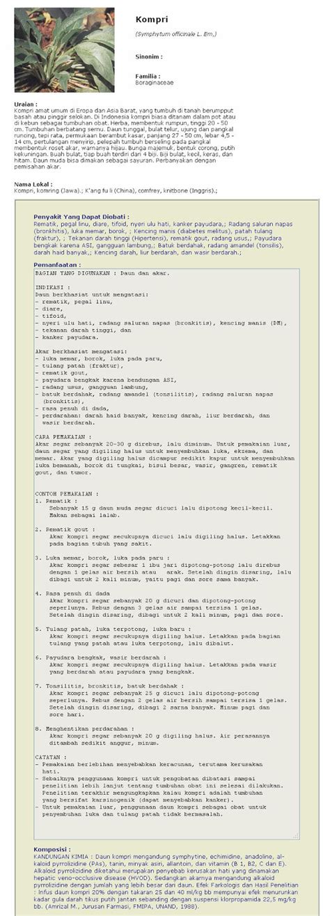 Check spelling or type a new query. 15 Jenis Tanaman Obat Untuk Mengobati Kencing Manis ...