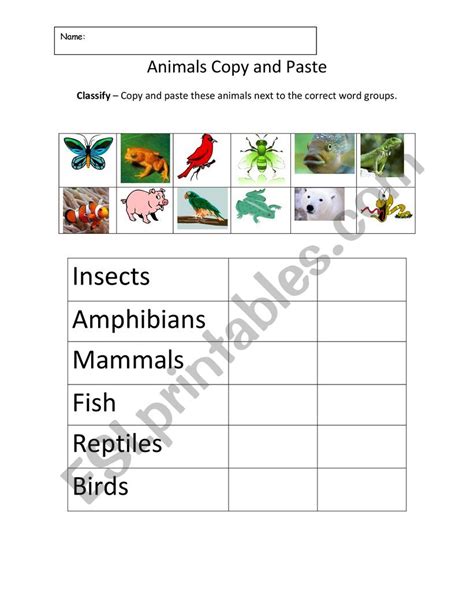 Animals Classification Esl Worksheet By Mariainmaculagomez