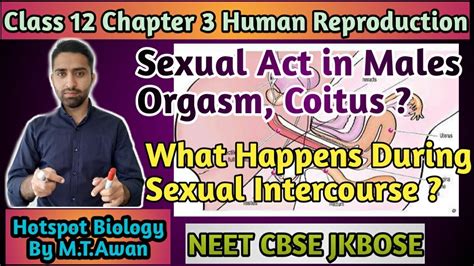 Lecture 6 Chapter 3 Class 12 Bio Sexual Activity In Maleshow Sex