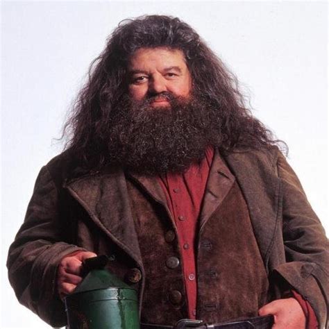 Rubeus Hagrid Heroes Wiki Fandom Powered By Wikia