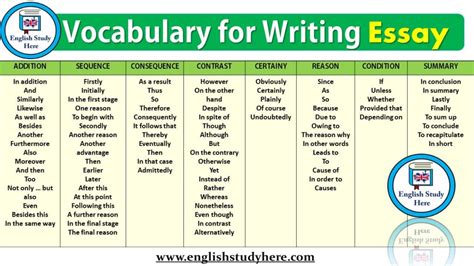 Vocabulary For Writing Essay English Study Here