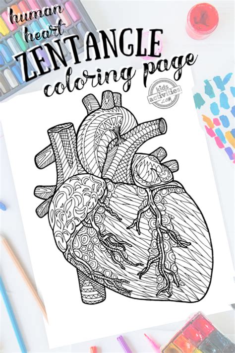 Detailed Zentangle Human Heart Coloring Page Kids Activities Blog