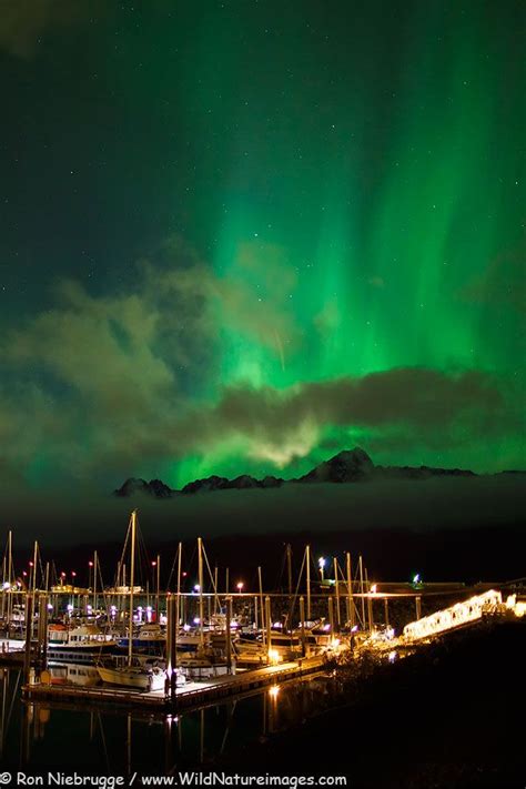 Alaska Cruise Northern Lights 2019 Greenartistichouse