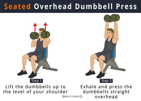 Dumbbell Overhead Press What Is It How To Do Benefits