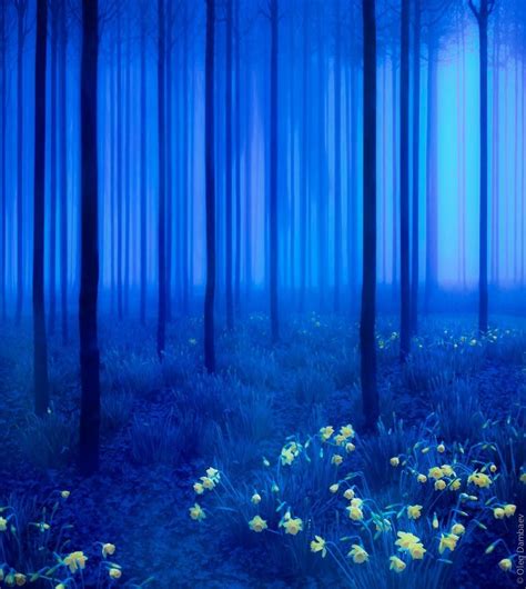 Young Trees Flowers Among Grass Blue Mystical Forest Beautiful