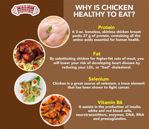 Why Is Chicken Healthy To Eat Poultryprotein Poultry Chicken