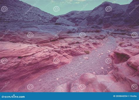 Stone Texture Red Canyon In The Desert Stock Photo Image Of Outdoors