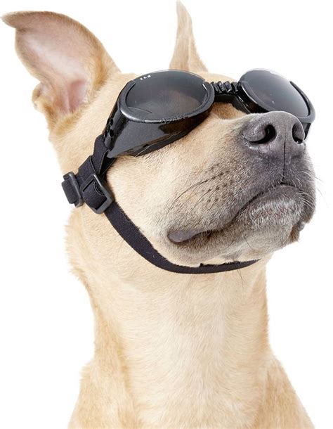 Doggles Ils Dog Goggles Gray Medium Dog Goggles