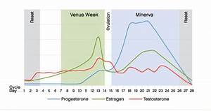 Your Menstrual Cycle Explained Hormonal Acne Acne Org Forum