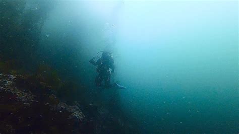 Diving In Se Alaska Rscuba