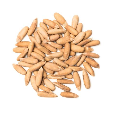 Apricotshelled Pine Nuts Stock Image Image Of Isolated 121911365