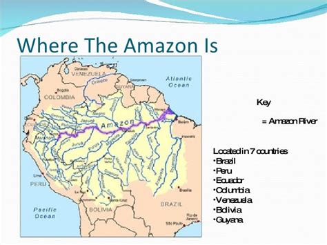 The Amazon River By Steven Green 97 2003 Powerpoint 3 728 ?cb=1237699637