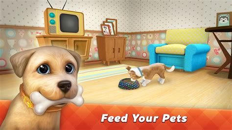 Dog Town Pet Shop Game Care And Play Dog Games For Android Apk Download