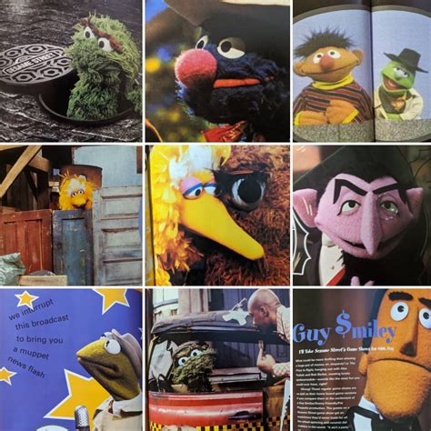 1990s Sesame Street Unpaved Scripts Stories Secrets Etsy
