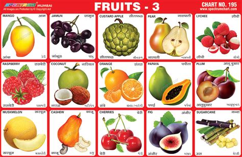 Spectrum Educational Charts Chart 195 Fruits 3