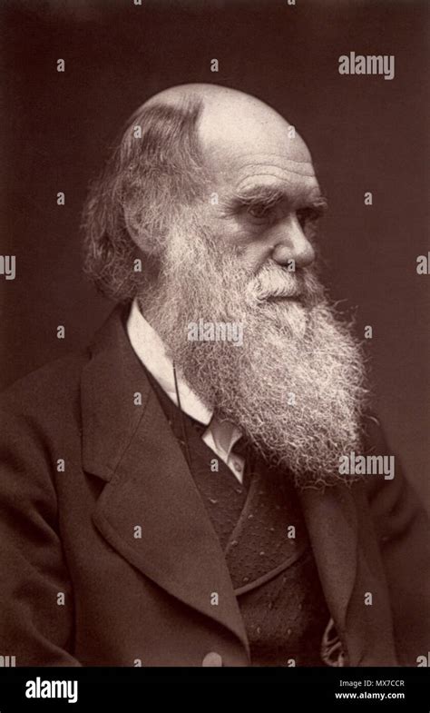 English A Woodburytype Carte De Visite Photograph Of Charles Darwin