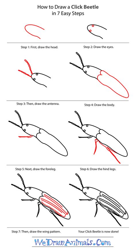 Https://techalive.net/draw/how To Draw A Beatle