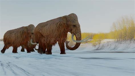 Woolly Mammoths Gathering In Snowy Forest Animation Stock Video Video
