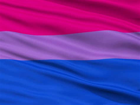 bandera bisexual gran formato calidad exterior tienda lgbt
