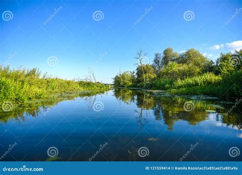 A Beautiful River Landscape Trees Reflecting In The Water Surface