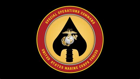 Marsoc Identifies Seven Marines Who Died In Accident United States