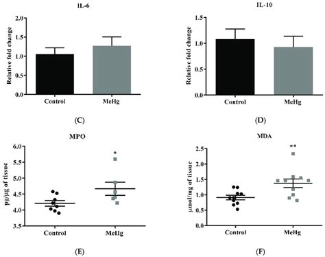 Hippocampal Neuroinflammatory Related Biomarkers Values Are Expressed