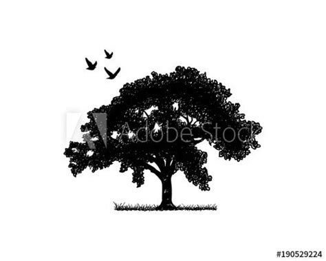 Tree Bird Logo Logodix