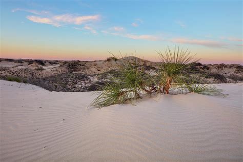 Texas Sand Dunes 1 Photograph By Rob Greebon