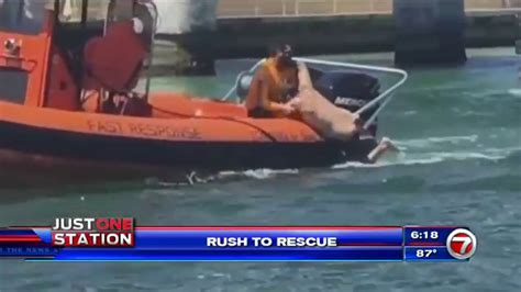 swift boat captain rescues swimmer swept out to sea off haulover beach wsvn 7news miami news