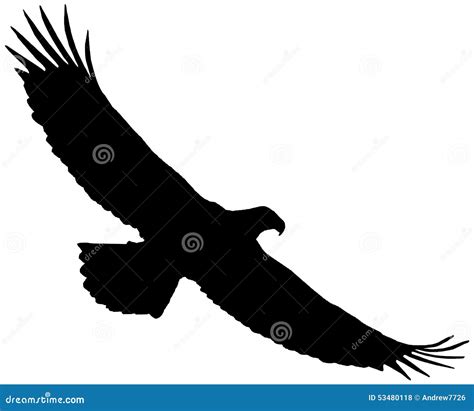 Silhouette Of An Eagle Stock Illustration Image 53480118