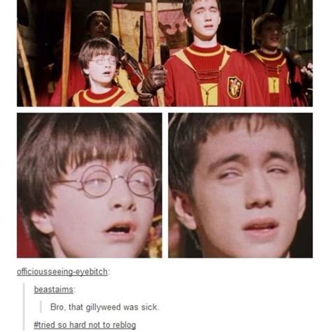 two pictures of harry potter and the same one with caption that reads you feel it i feel it