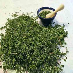 People in the eastern countries have used moringa for treating or preventing many disorders for a long time due to its various health benefits. Moringa Oleifera Leaves - Moringa Oleifera Leaves Exporter ...