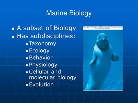 Ppt Marine Biology Mar111 Powerpoint Presentation Free Download Id