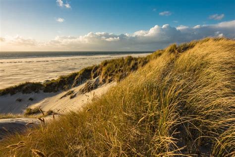 Dunes On The North Sea Coast Stock Photo Image Of Destination