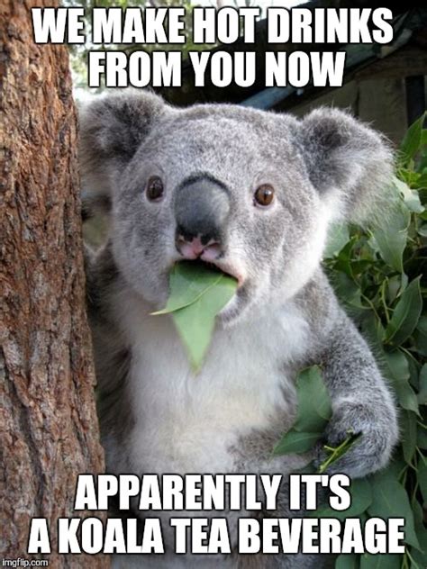 Koala Tea Meme Imgflip