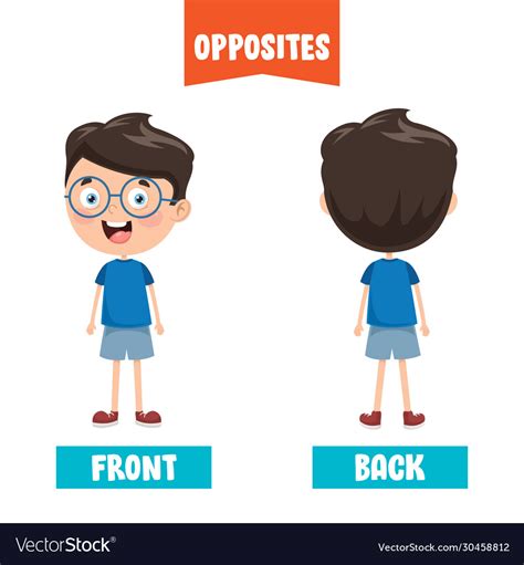 Front And Back Royalty Free Vector Image Vectorstock