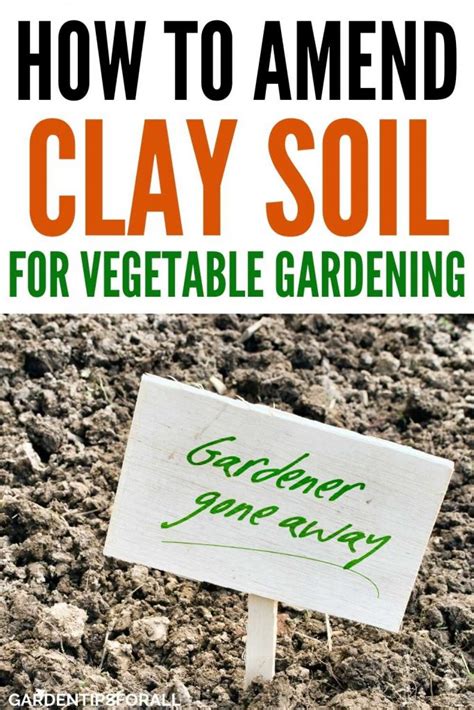How To Amend Clay Soil For Vegetable Gardening