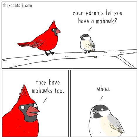26 Funny Comics By Jimmy Craig Showing What Birds Would Say If They