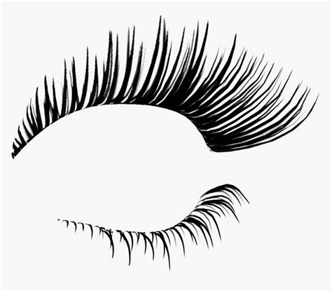 Eyelash Extensions Cosmetics Clip Art Eyelashes Png Transparent Png