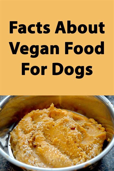 A strict vegetarian diet that supplies the necessary nutrients to humans is extremely expensive. Feeding Your Dog Vegan Food - Is It Healthy For Dogs | Vegan dog food, Dog food recipes, Food