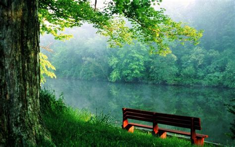 River Peace Bench Wallpapers Photo 3497 Hd Stock Photos